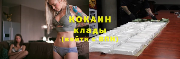 мяу мяу кристалл Няндома